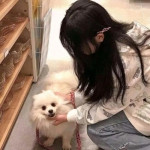 换装大联萌无限钻石金币版下载
